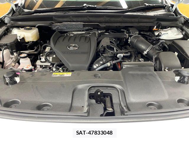 Lexus RX 2023-03 8245775-17
