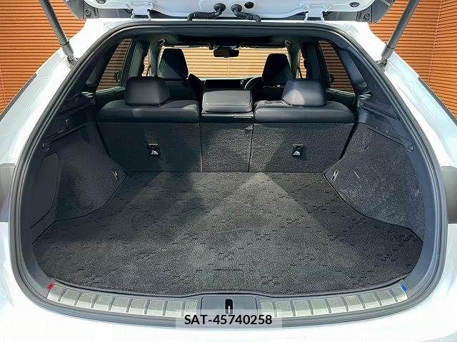 Lexus RX 2023-08 8245774-12
