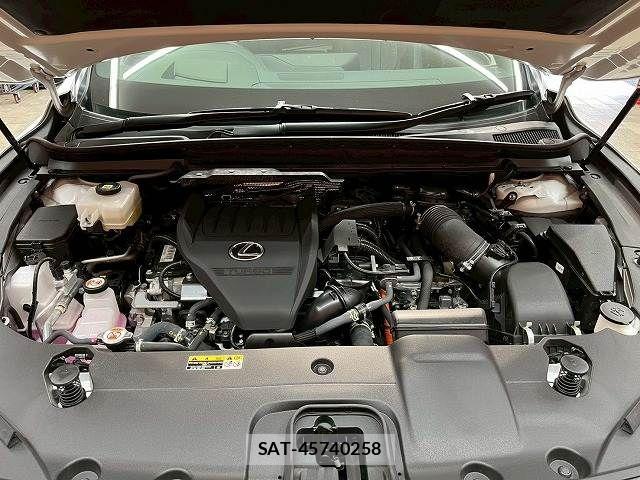 Lexus RX 2023-08 8245774-19