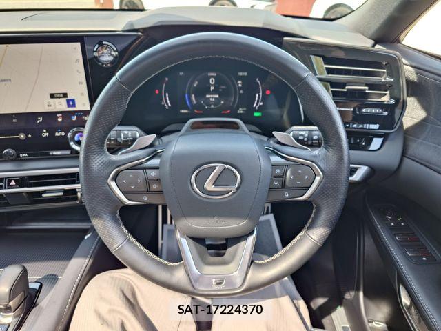 Lexus RX 2024-07 8245773-12