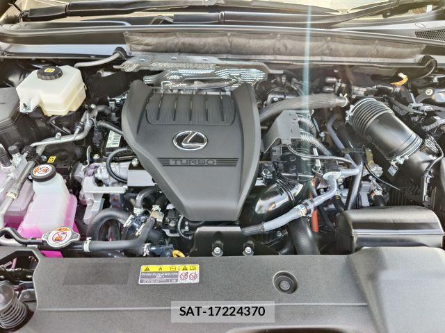 Lexus RX 2024-07 8245773-25