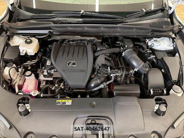 Lexus RX 2023-02 8245776-17