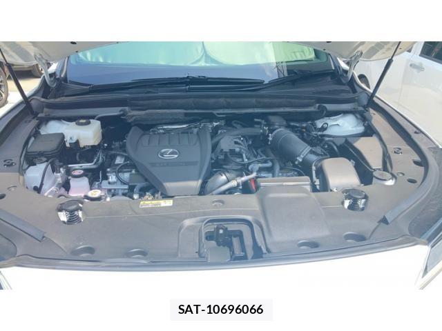 Lexus RX 2025-05 8336617-4