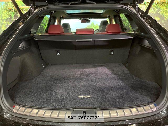 Lexus RX 2024-05 8336616-11