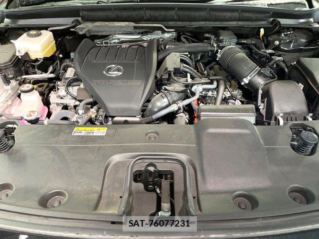 Lexus RX 2024-05 8336616-17