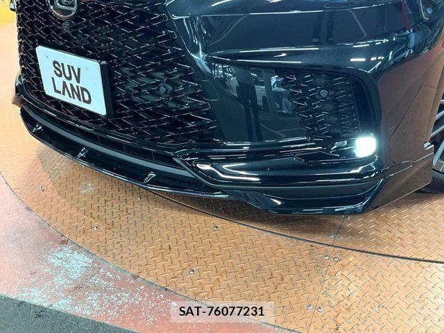 Lexus RX 2024-05 8336616-3
