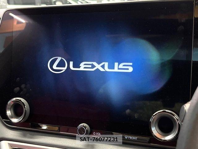 Lexus RX 2024-05 8336616-4