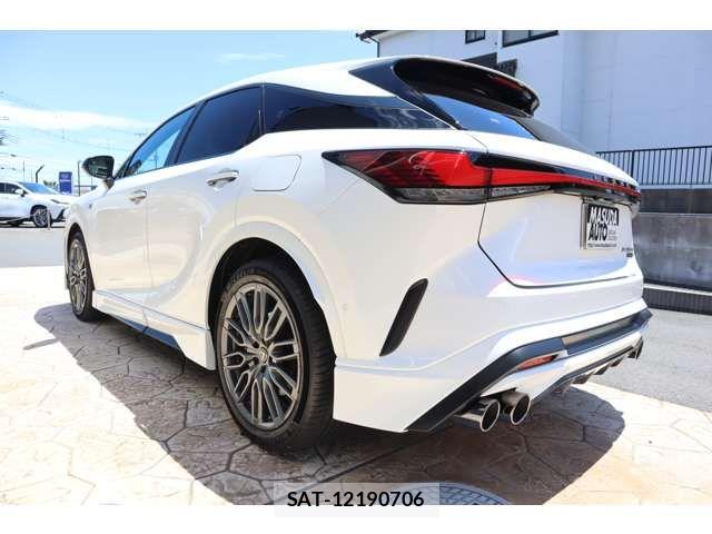 Lexus RX 2025-04 8336618-4
