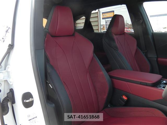 Lexus RX 2024-01 8336621-28
