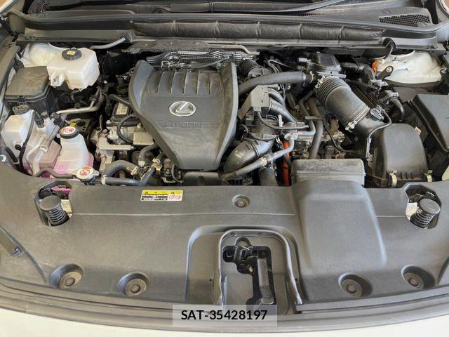 Lexus RX 2023-06 8336622-17