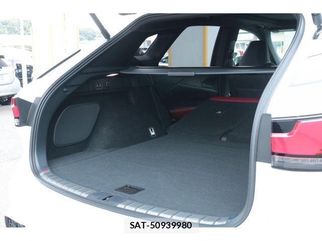 Lexus RX 2024-03 8354870-28