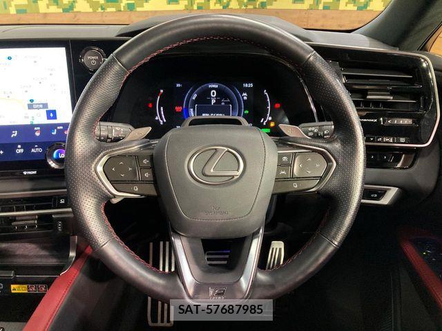 Lexus RX 2023-06 8366793-9