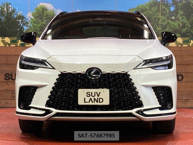 Lexus RX 2023-06 8366793-13