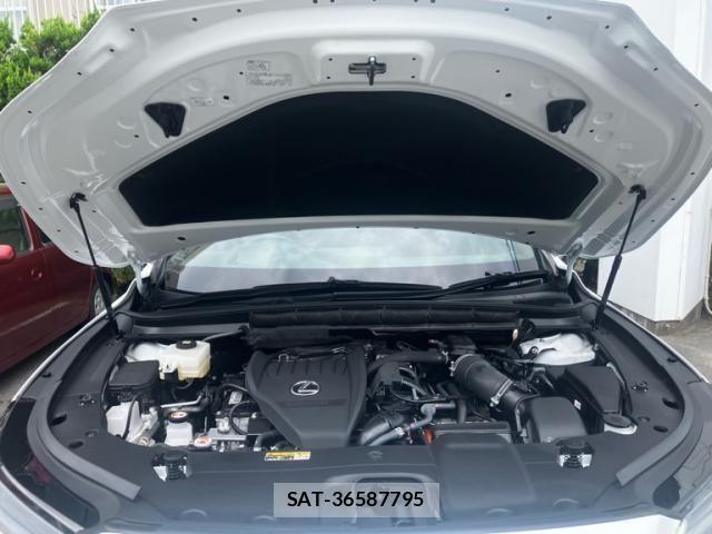 Lexus RX 2023-05 8413344-4