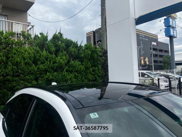 Lexus RX 2023-05 8413344-7