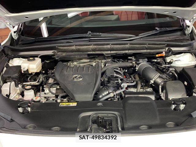 Lexus RX 2023-04 8457838-17