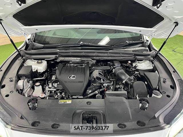 Lexus RX 2023-02 8485653-13