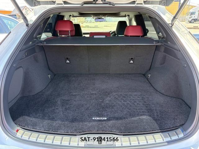 Lexus RX 2024-08 8485652-5