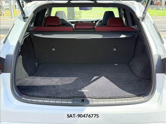 Lexus RX 2023-09 8525598-10