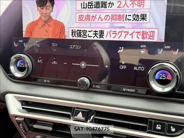 Lexus RX 2023-09 8525598-12