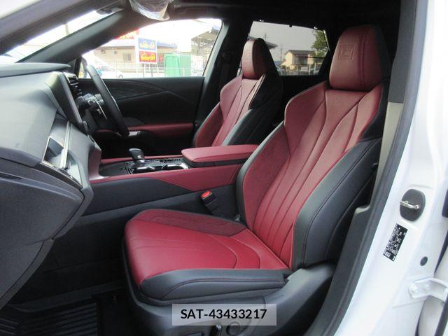 Lexus RX 2024-03 8562494-10