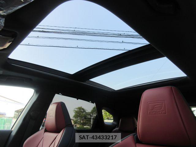 Lexus RX 2024-03 8562494-12