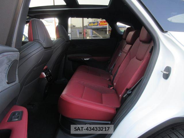 Lexus RX 2024-03 8562494-13