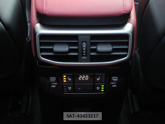Lexus RX 2024-03 8562494-14