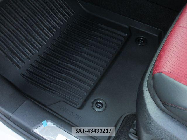 Lexus RX 2024-03 8562494-18