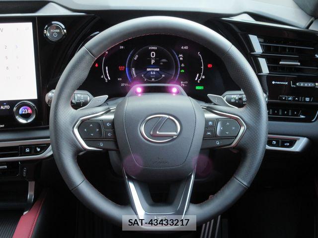 Lexus RX 2024-03 8562494-20