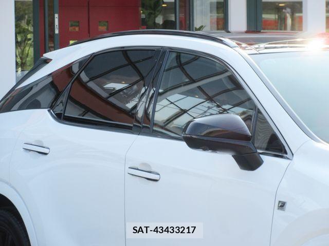 Lexus RX 2024-03 8562494-6