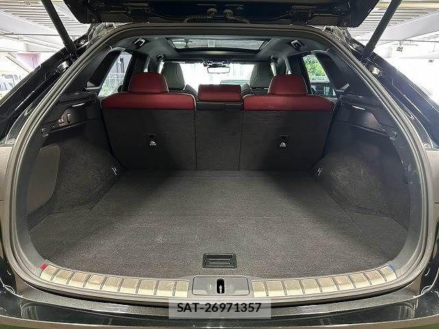 Lexus RX 2023-07 8627534-12