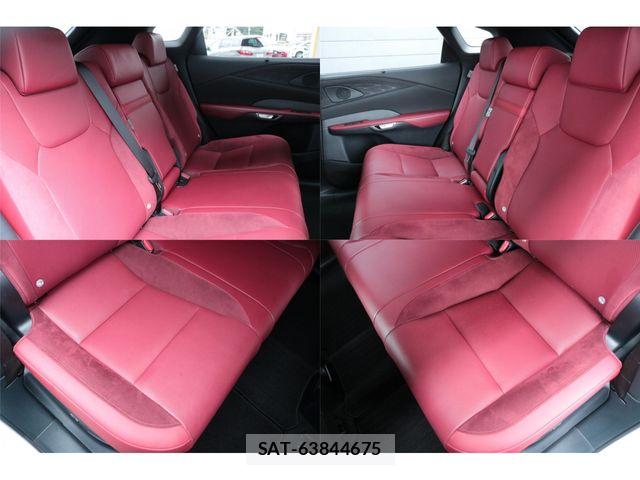Lexus RX 2024-03 8666434-18