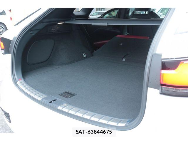 Lexus RX 2024-03 8666434-28
