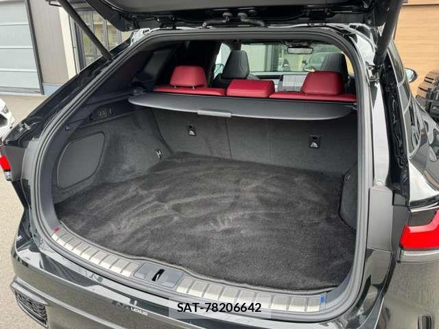 Lexus RX 2023-10 8666428-14