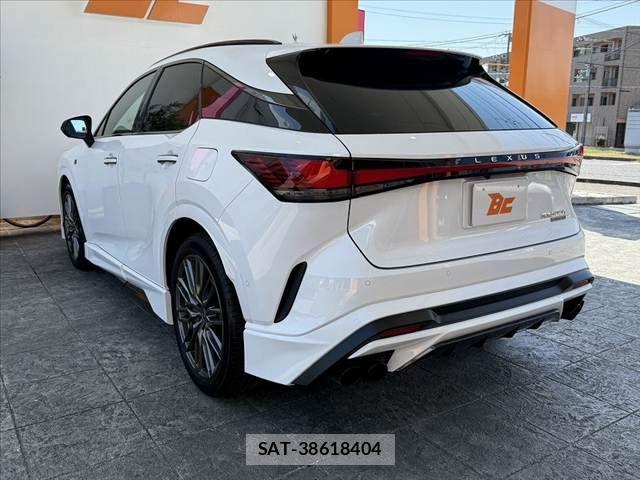 Lexus RX 2025-11 8660019-12