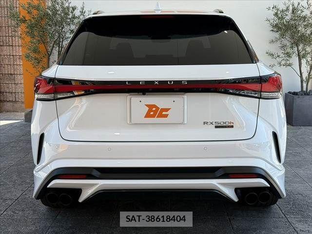 Lexus RX 2025-11 8660019-13