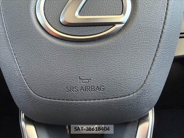 Lexus RX 2025-11 8660019-22