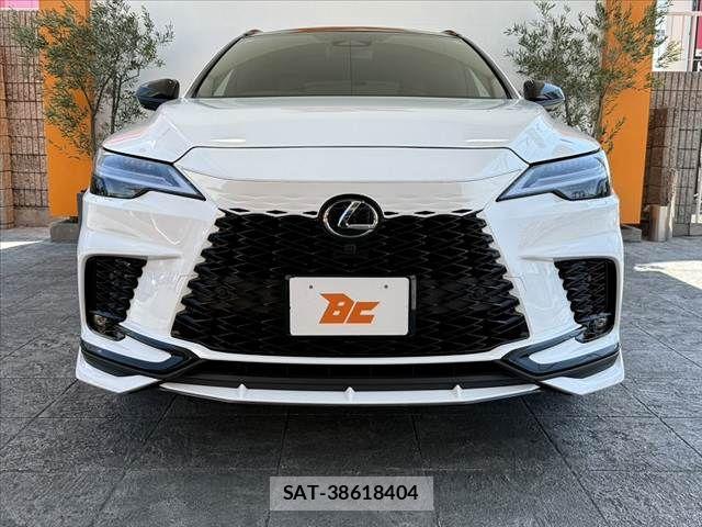 Lexus RX 2025-11 8660019-8