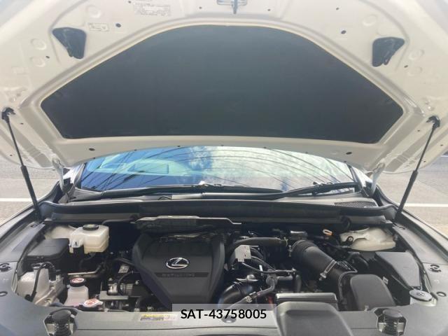 Lexus RX 2025-07 8743525-9