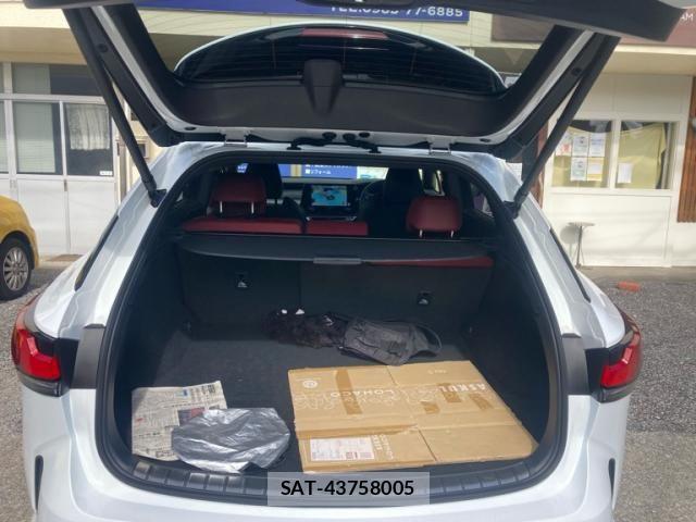 Lexus RX 2025-07 8743525-14
