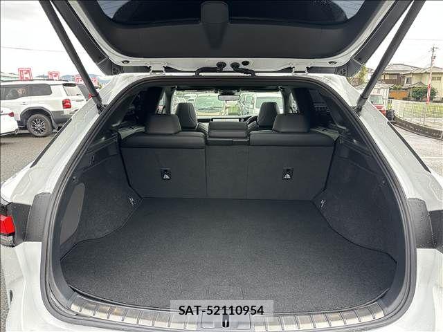 Lexus RX 2023-06 8830038-14