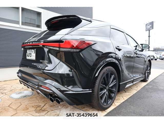Lexus RX 2023-07 8849619-6