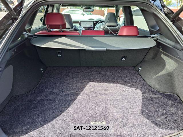 Lexus RX 2023-05 8871370-24