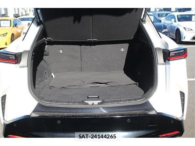 Lexus RZ 2023-07 2099960-28