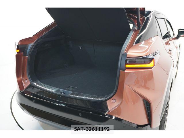 Lexus RZ 2023-07 8315238-29