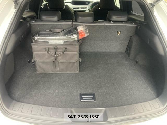 Lexus UX 2018-11 3771542-9