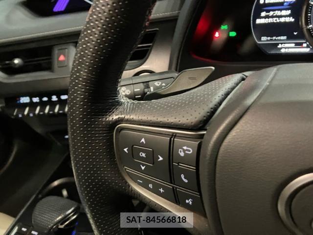 Lexus UX 2019-05 4326395-18