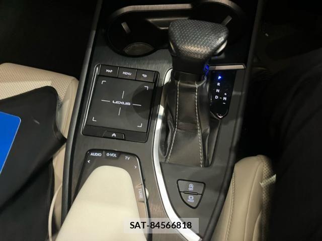 Lexus UX 2019-05 4326395-21