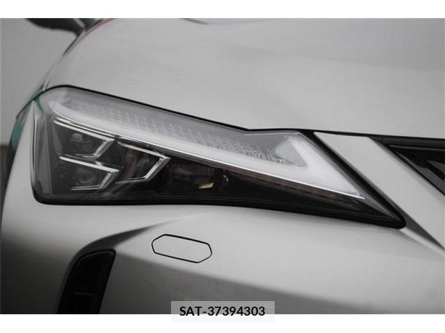 Lexus UX 2019-03 5871228-12